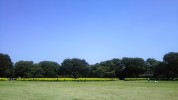 昭和記念公園